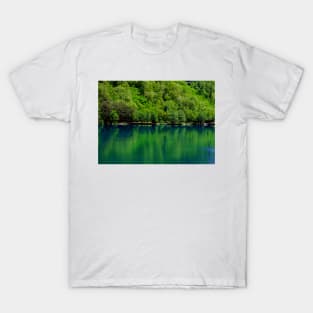 Beautiful emerald lake in a magical forest T-Shirt